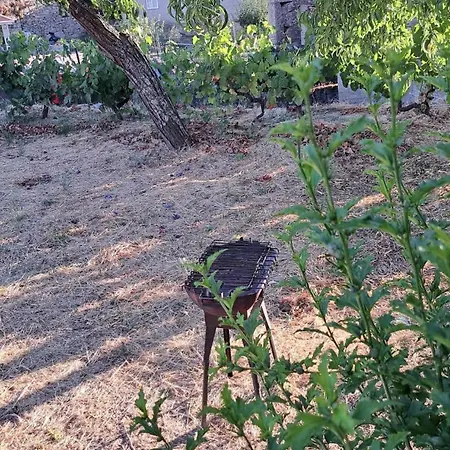 Casa Do Vicente Tabuaço