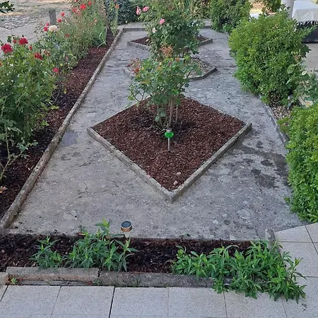 Casa Do Vicente Vakantiehuis Tabuaço