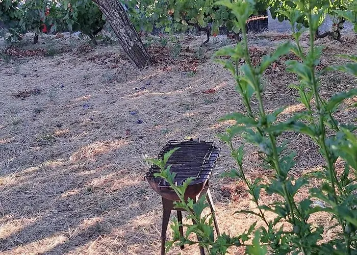 Casa Do Vicente Tabuaço