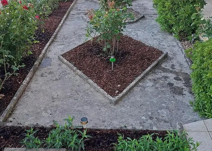 Casa Do Vicente Vakantiehuis Tabuaço